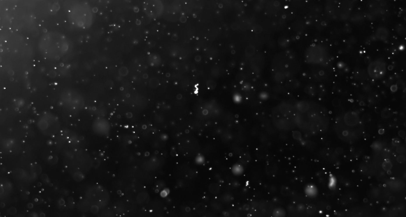 2k125组灰尘元素视频素材