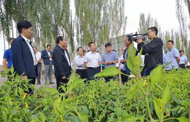 在疆期间,代表团一行在天津援疆前指总指挥李文运,民丰县委书记邵泽钦