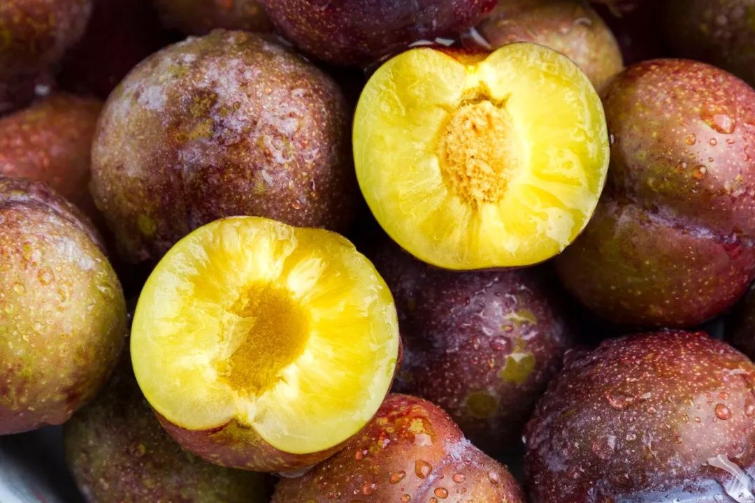 江湖人称"脱骨李"脆甜来袭!一口连吃20个,超过瘾!_李子