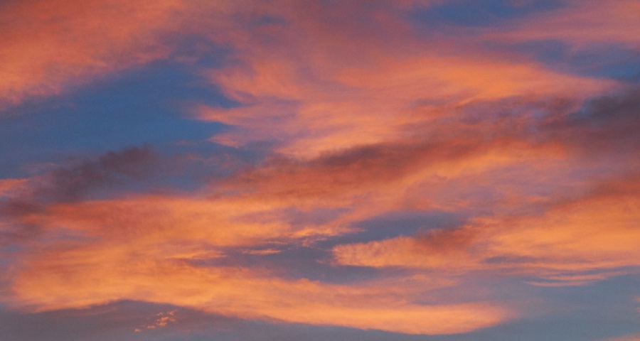 空调电视净水器谋变家电业，美的海信格力小熊小米弄潮逐浪-家电圈官网