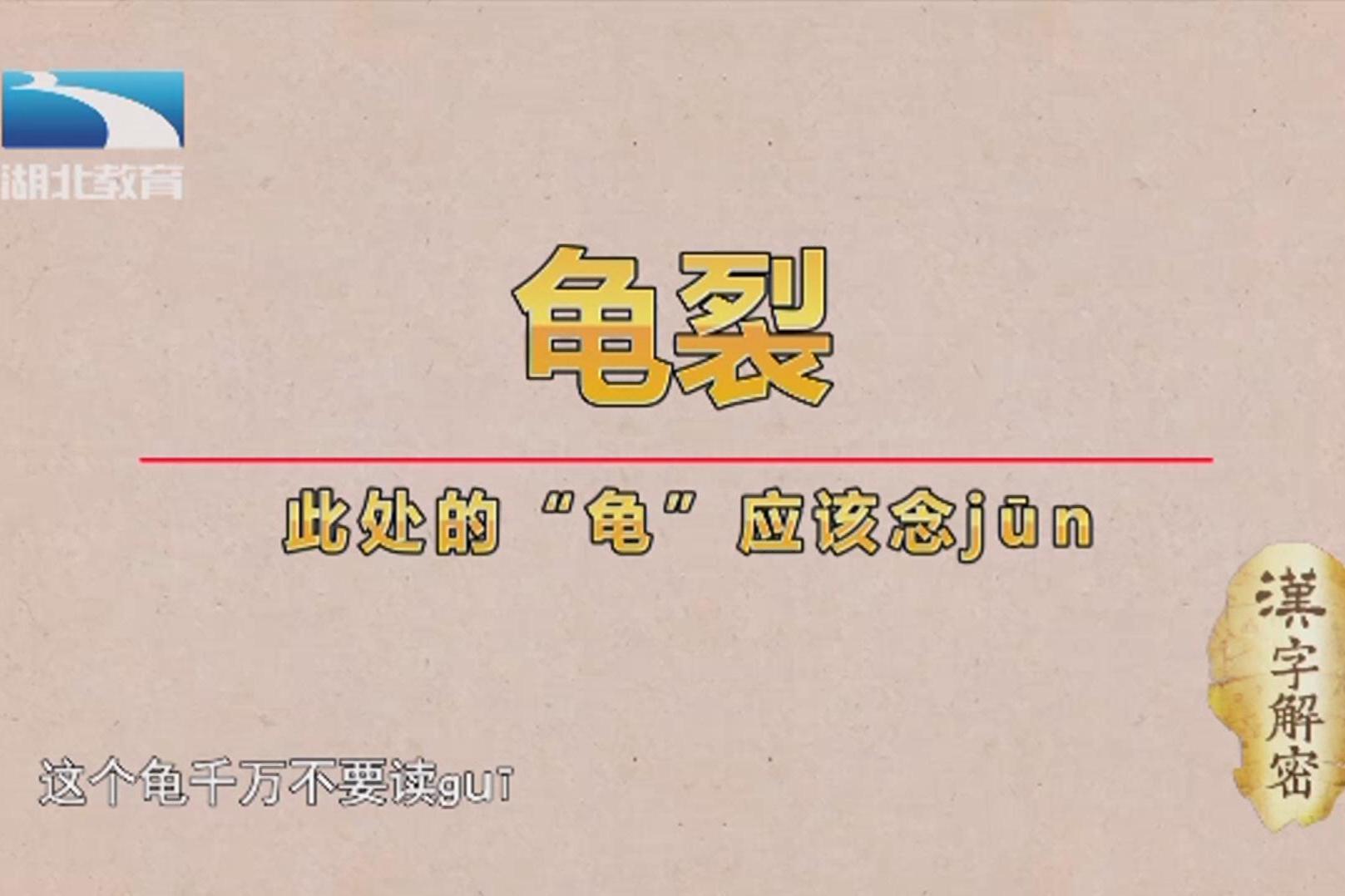 汉字解密武大教授方言解读龟字读音是gui还是jun分得清吗