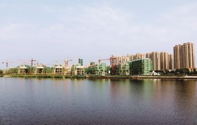 媒体之声新华日报报道猴嘴街道充分利用盐渍化荒滩