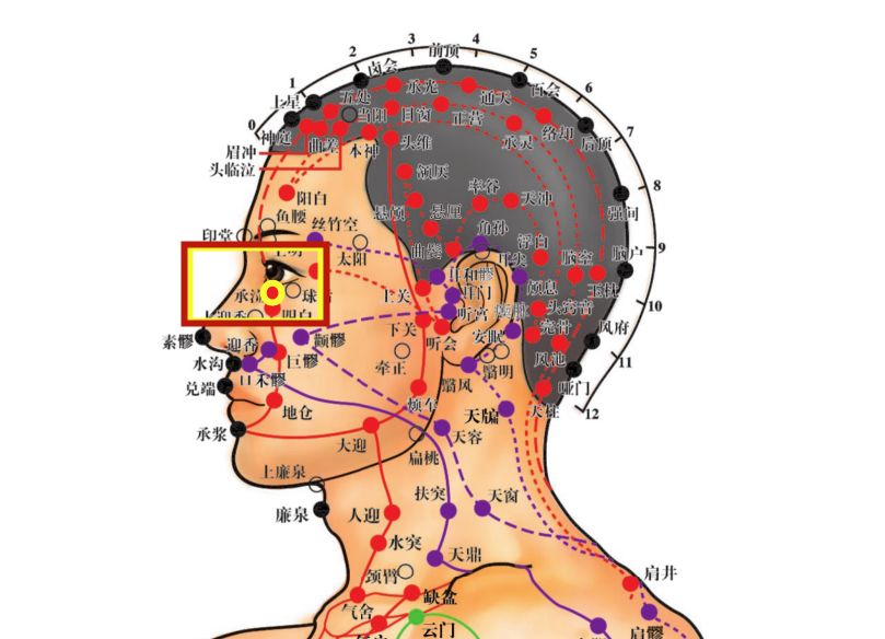 穴位知识 | 十二经脉·足阳明胃经之承泣穴_主治