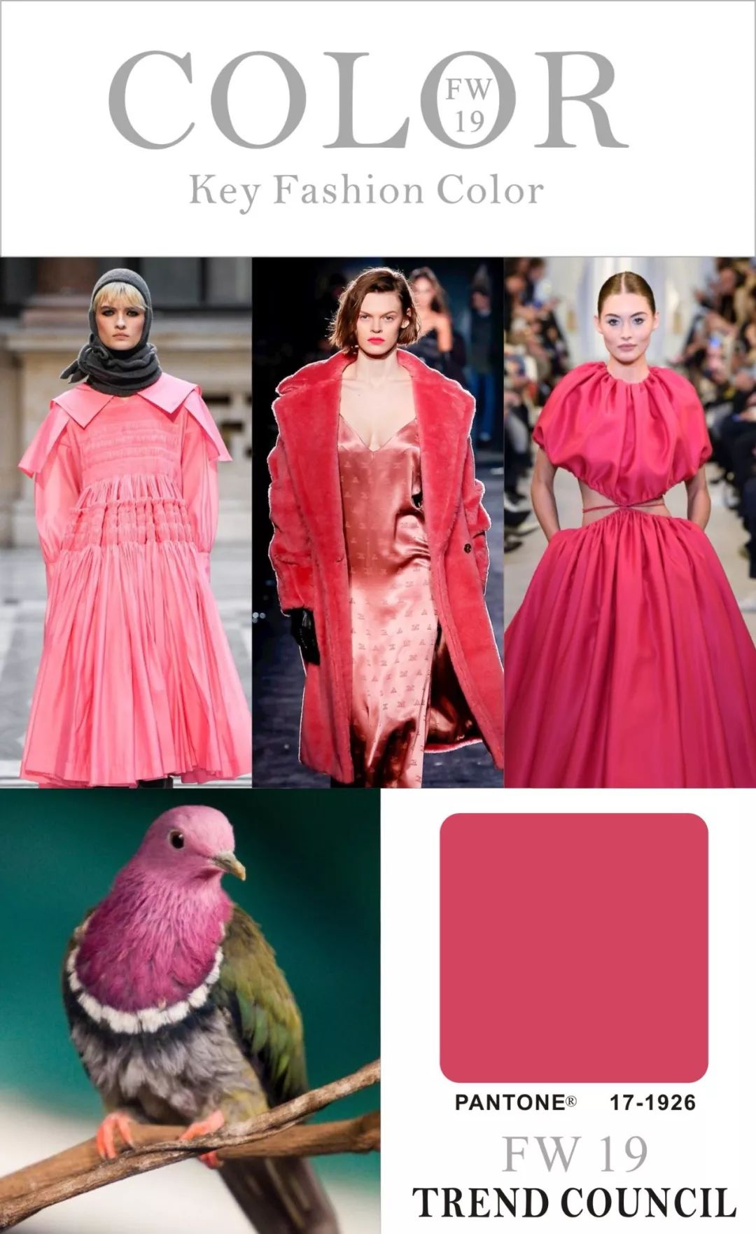 妈呀2019秋冬流行色有点过分好看了