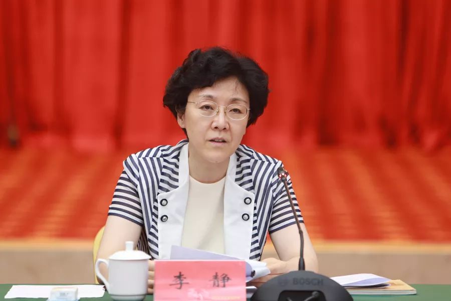 统战之声李静在行走中国2019海外华文媒体高层重庆行启动仪式上指出讲