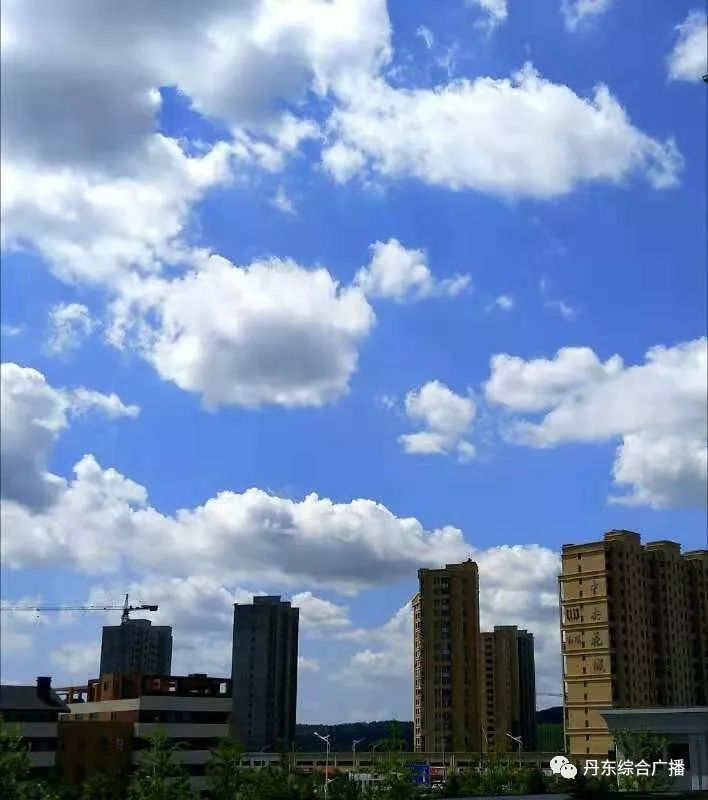 48Сʱ: