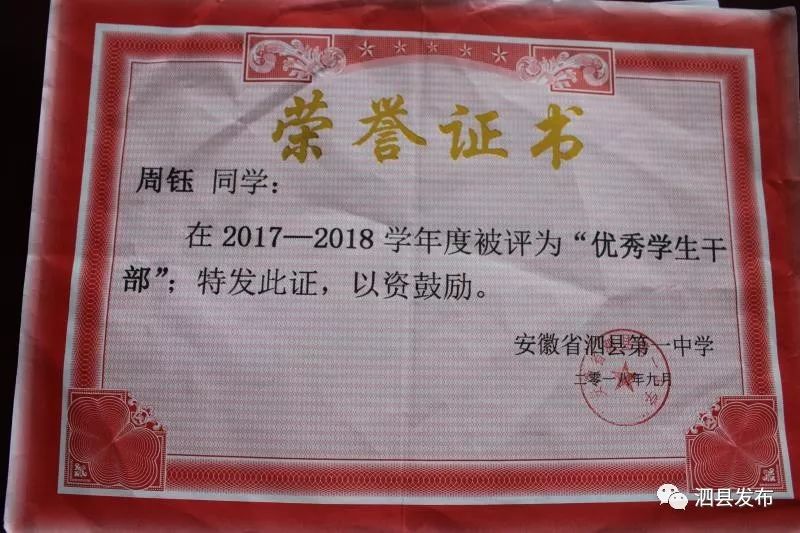 点赞厉害啦省级优秀学生名单出炉泗县这位同学上榜是你认识的吗