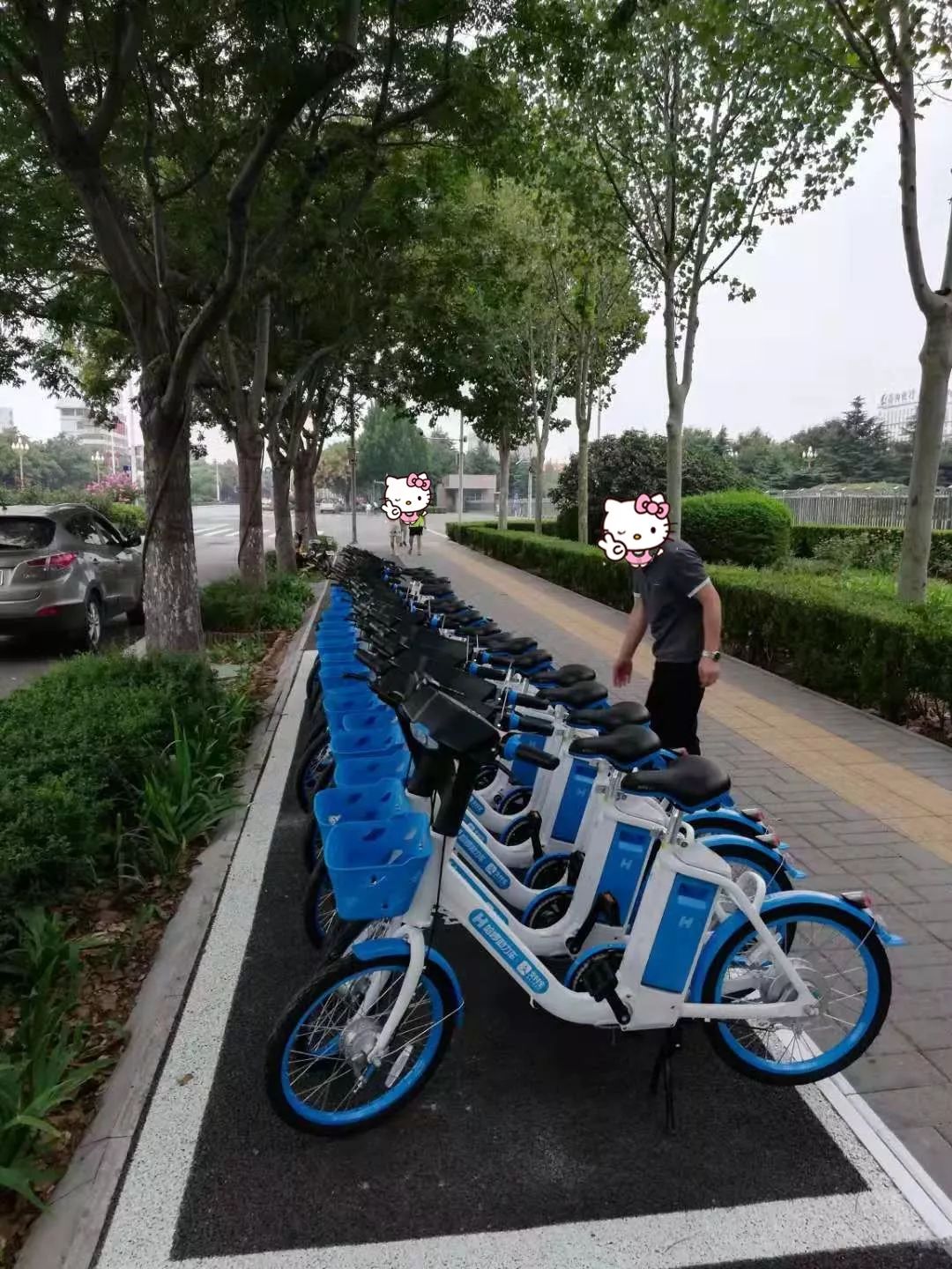 忽如一夜春风来,鹤壁满地电动车!"共享单车"来鹤壁啦!