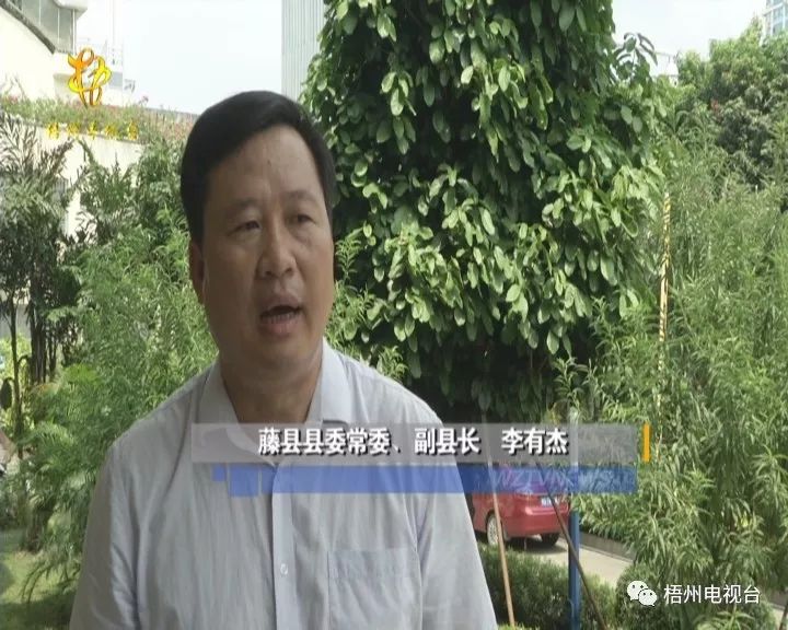 藤县副县长图片