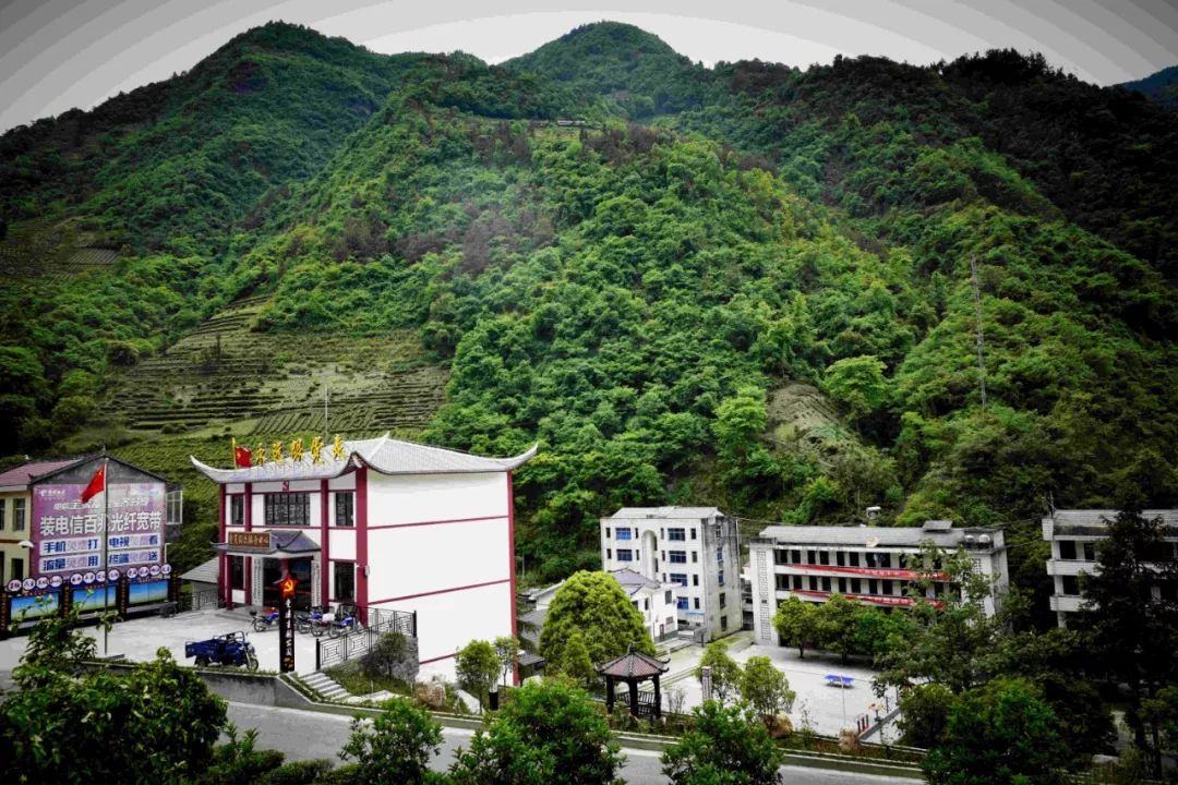 三峡大学深入苦竹坪村助力脱贫攻坚