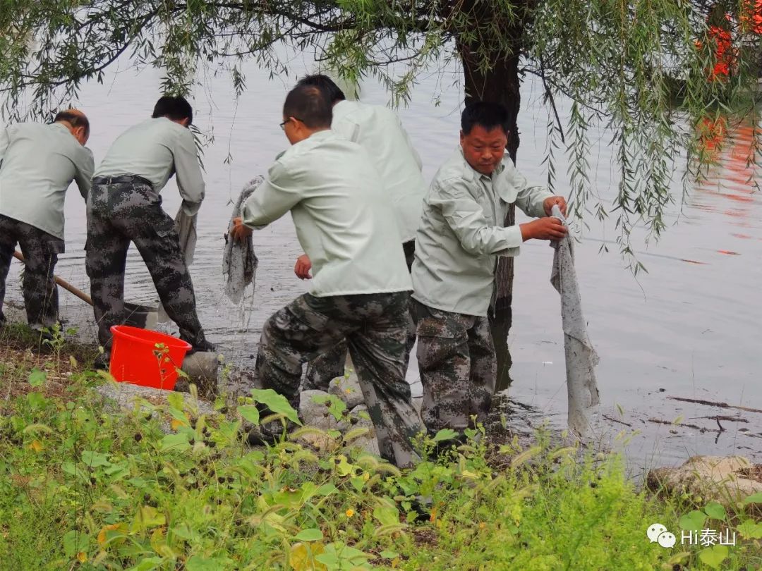 汶河县水库发现烈士图片