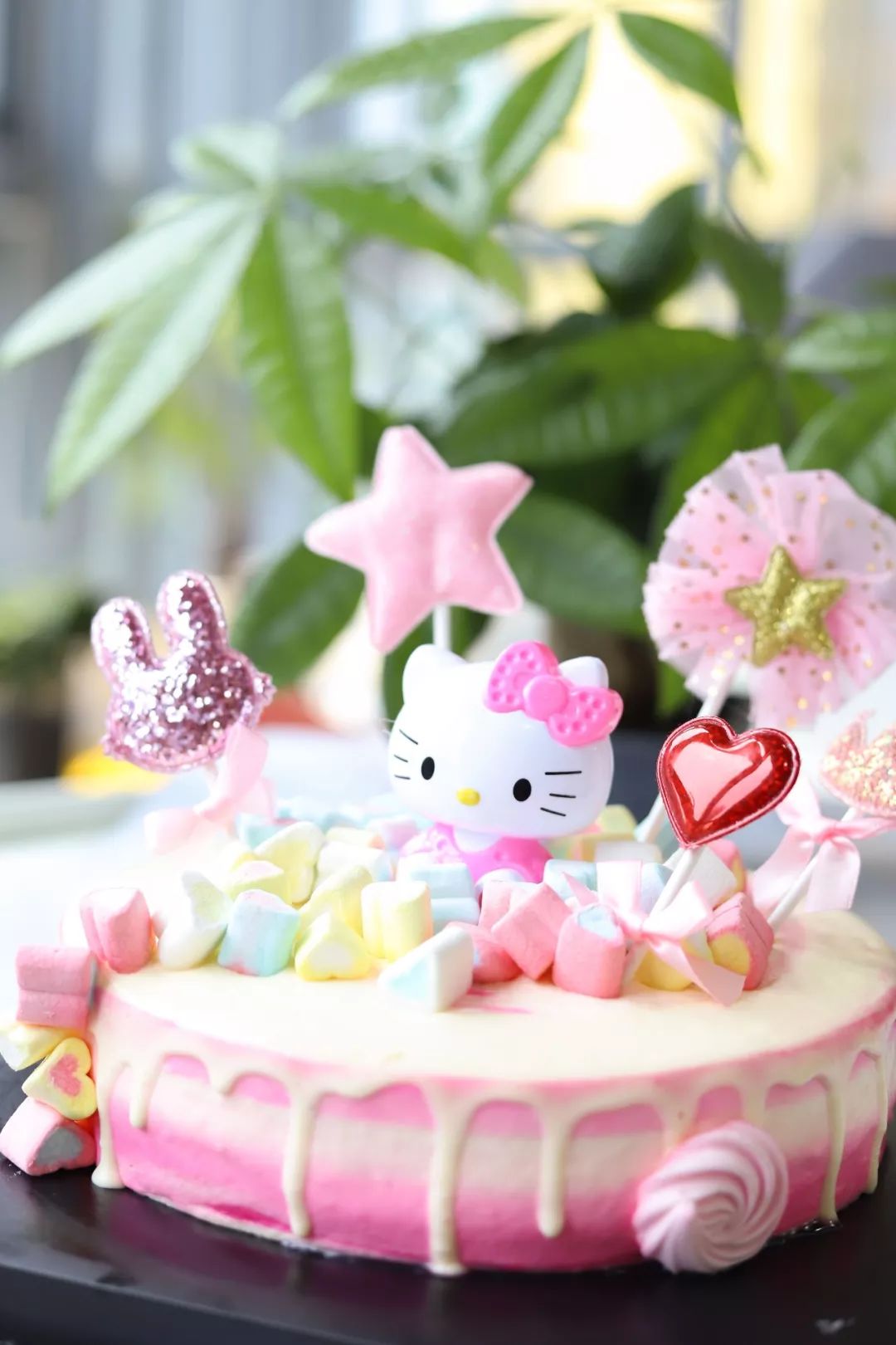 免费送会跳舞的熊猫蛋糕来厦门了众多明星都吃过