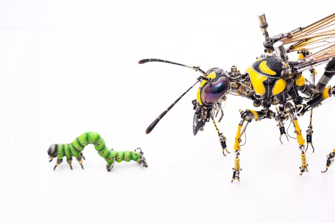 高达看多了审美疲劳看看机械昆虫帝徳利蜂