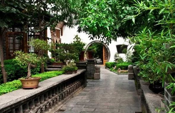 朴实的农村小院才是接地气的疗愈场所