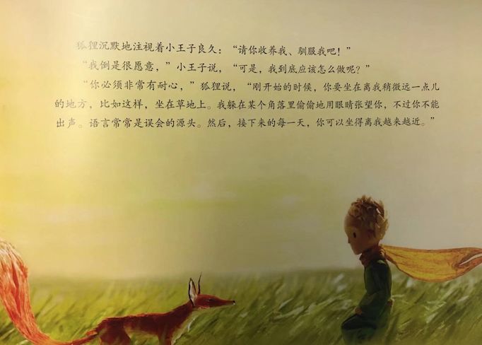 最终小王子驯服狐狸了么?