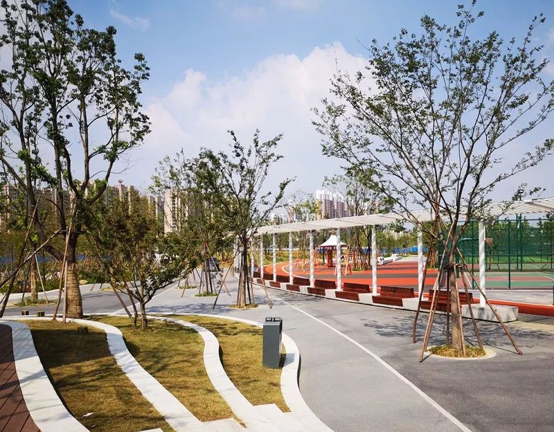新北第二大公园建成开放三江口公园你的休闲新去处