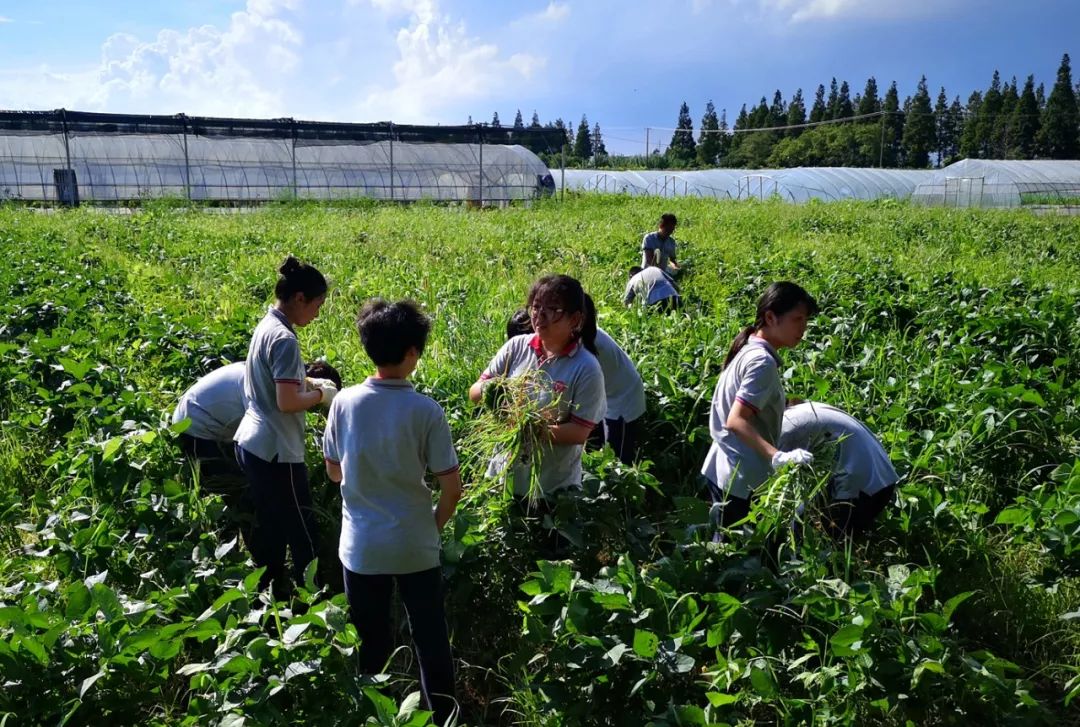 四会学农基地图片