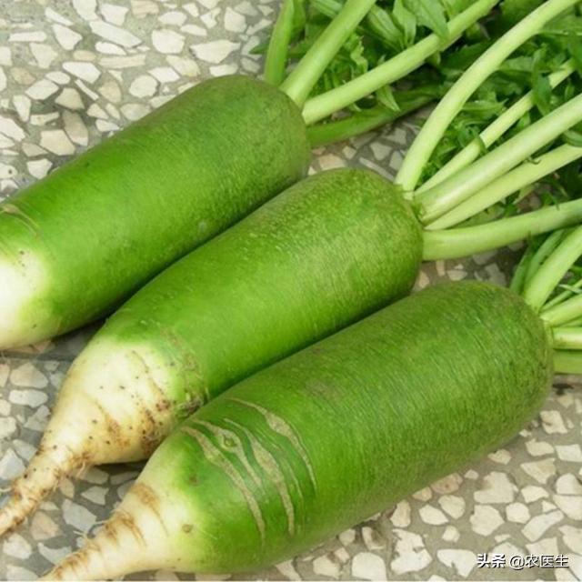 秋播蔬菜高峰这个水果型甜萝卜品种独特口感好生食脆甜多汁