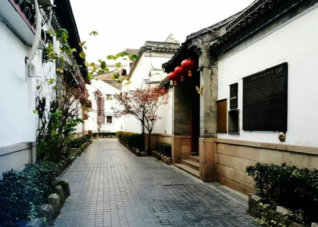 8月最后一班江南水乡醉美乌镇感受江南初秋美景