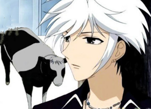 水果篮子 草摩波春这位小哥哥是作品中一个经典的路痴,看着地图也会