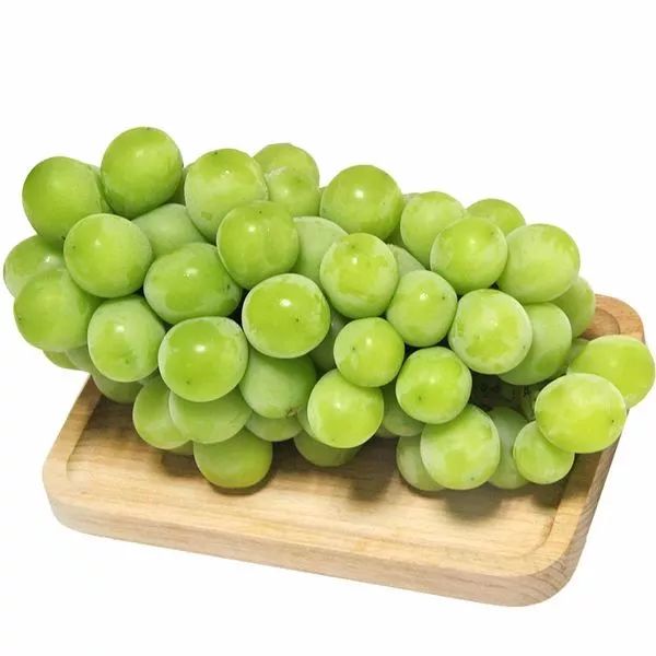 美味房县小鱼儿葡萄采摘园阳光玫瑰采摘正当时各位小主有口福啦