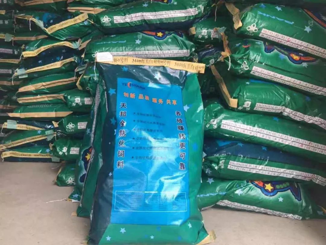 "现在这个阶段要一天投食三次,第一次投得饲料吃得如何,我们就用这个