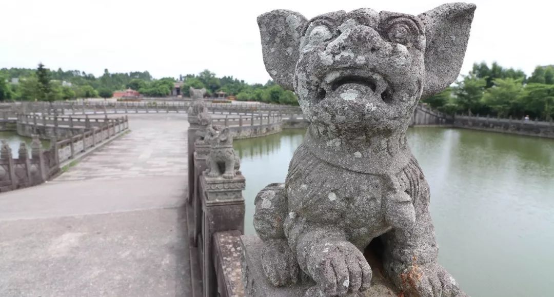 神奇的地方,雕塑愛好者的擼狗天堂_雷州