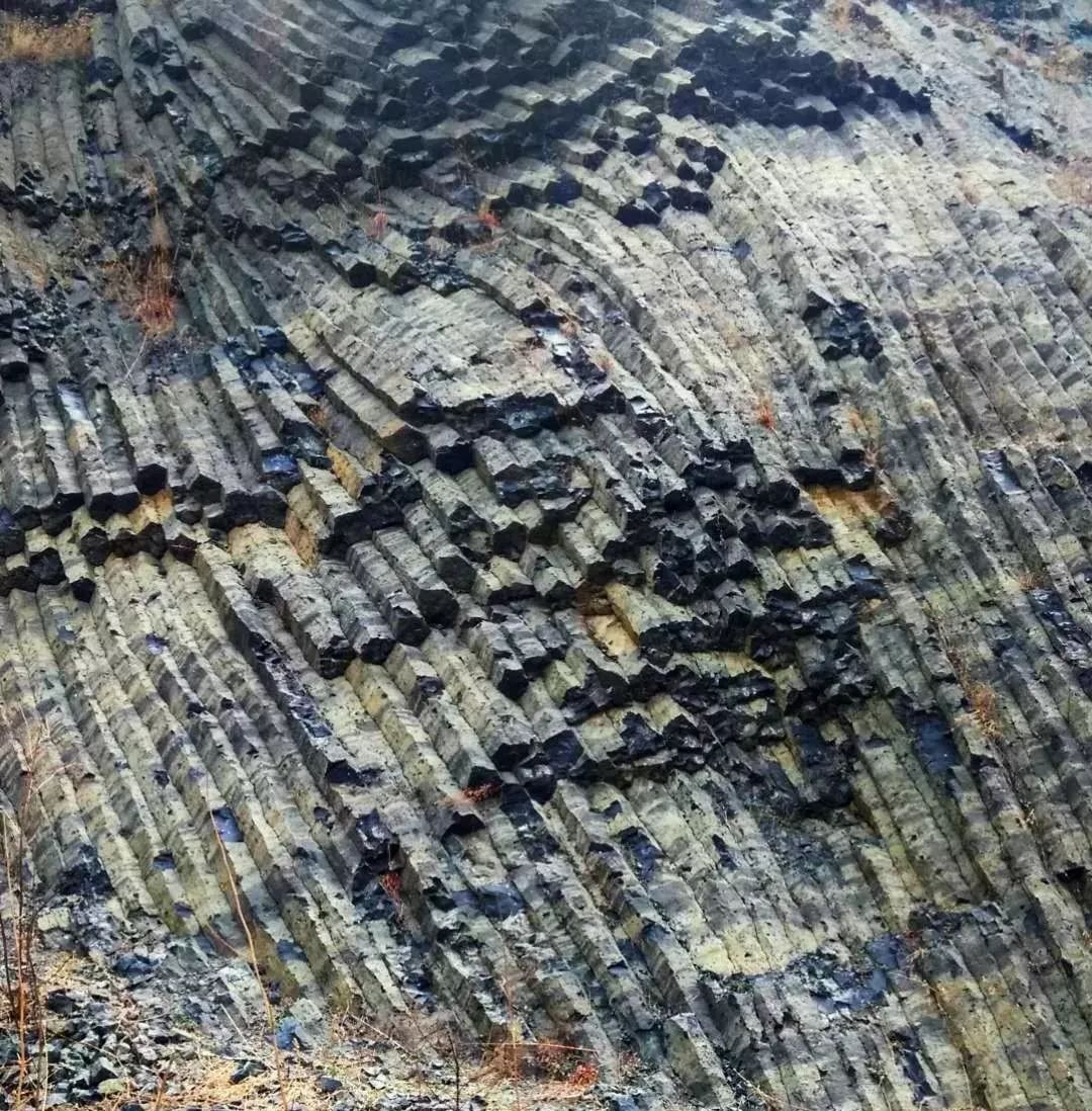 收心开学季快来昌乐研学吧