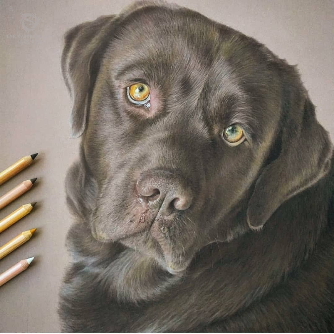 令人震撼的超写实素描总说不好那是因为你做不好