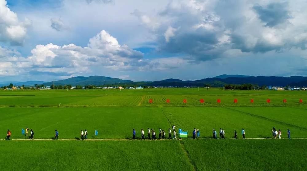 大学教授,农业部测土配方施肥技术专家组成员郭世伟,云南农业大学教授