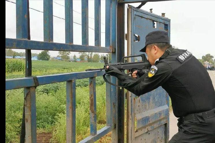 刘丽杰绥化晚报特约记者王宝)"呯,呯,呯"三声枪响,划破黑龙江省青冈县