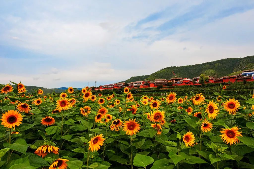 攀枝花的这些美景,有你没去过的地方吗?