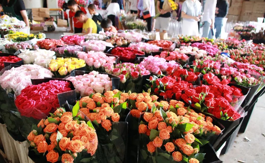 城味念念不忘花都看看人们心中的斗南是啥样吧