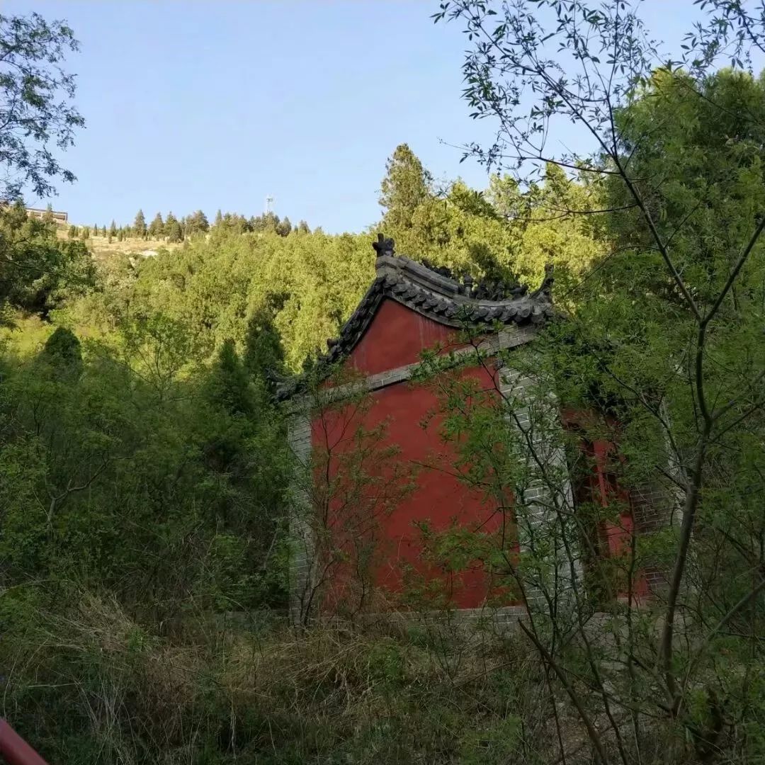 临淄有座金山