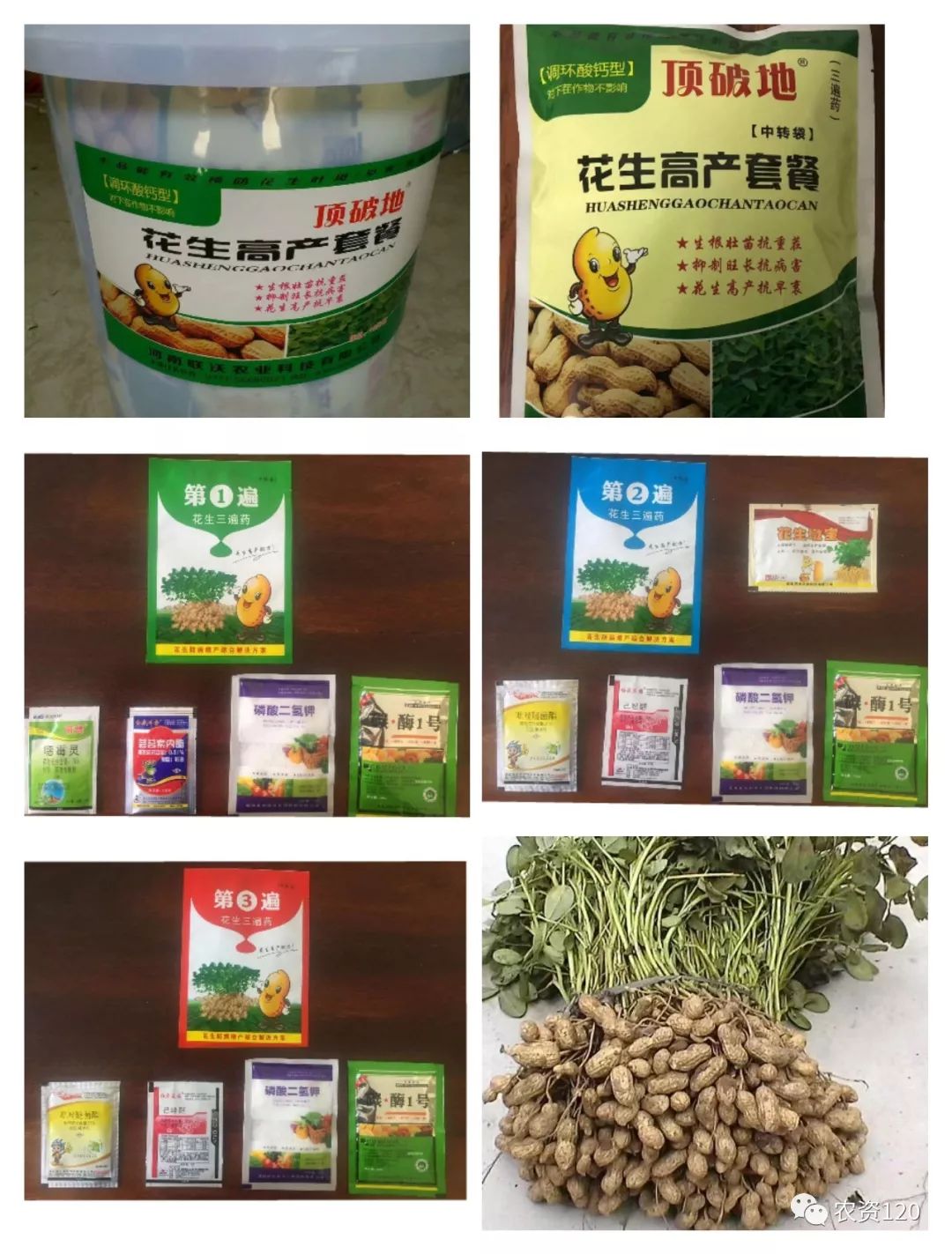 看看这花生喜人不?_套餐