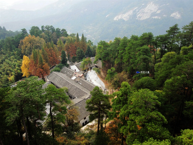 湖南南岳衡山这座千年古寺究竟有何渊源吸引众多韩国日本僧人前来朝圣? 湖南南岳衡山这座千年古寺究竟有何渊源吸引众多韩国日本僧人前来朝圣?