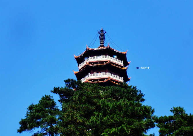 湖南南岳衡山这座千年古寺究竟有何渊源吸引众多韩国日本僧人前来朝圣? 湖南南岳衡山这座千年古寺究竟有何渊源吸引众多韩国日本僧人前来朝圣?
