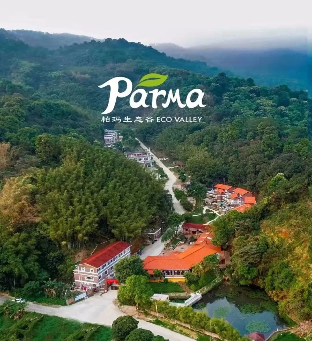 67港湾墙裂欢迎您来参加广州的919春风化雨班