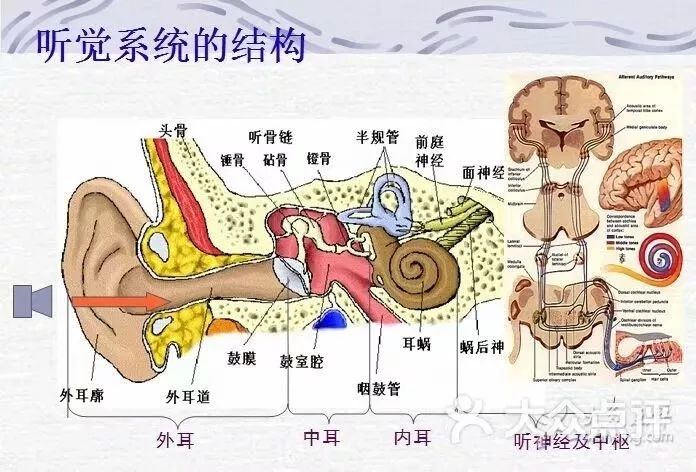 经常戴耳机,会不会耳聋呀?