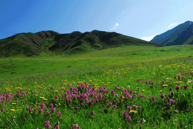 640_429gif 动态图 动图