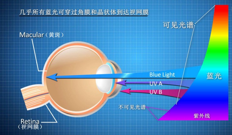 如何保護視網膜及預防視力藍光損傷