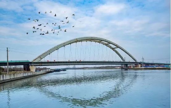 千呼万唤始出来金山这座大桥要通车啦