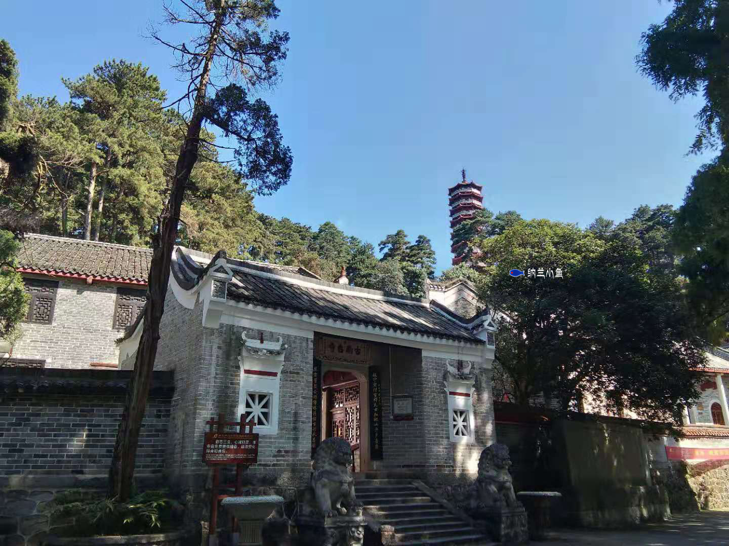 湖南南岳衡山这座千年古寺究竟有何渊源吸引众多韩国日本僧人前来朝圣? 湖南南岳衡山这座千年古寺究竟有何渊源吸引众多韩国日本僧人前来朝圣?