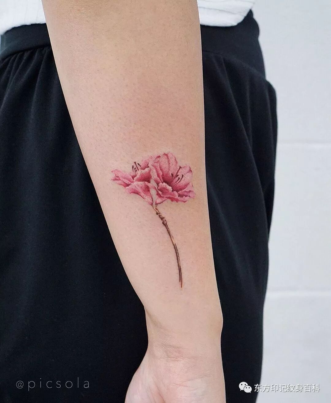 小臂上的植物纹身,这样纹最迷人!