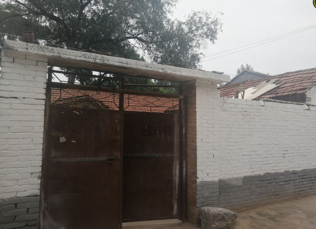 濮阳这个村因杂技闻名村里还有千亩宝贝