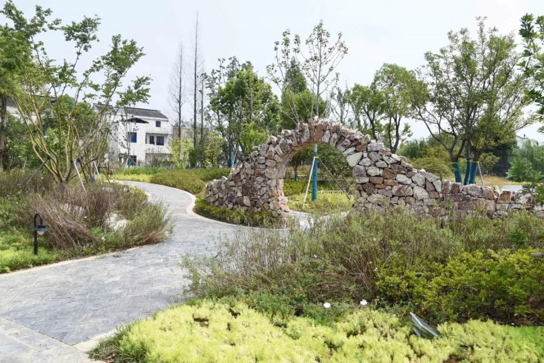 碧溪233专项学习考察看溧阳的美村手法646464646464