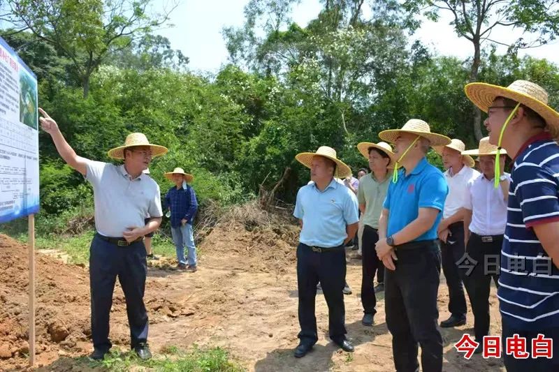 副区长陈建翔,陈伟敏及区相关单位领导参加.