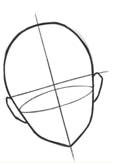 绘制出人物的头部轮廓首先画出一个椭圆形,绘制出十字线,确定好头部的
