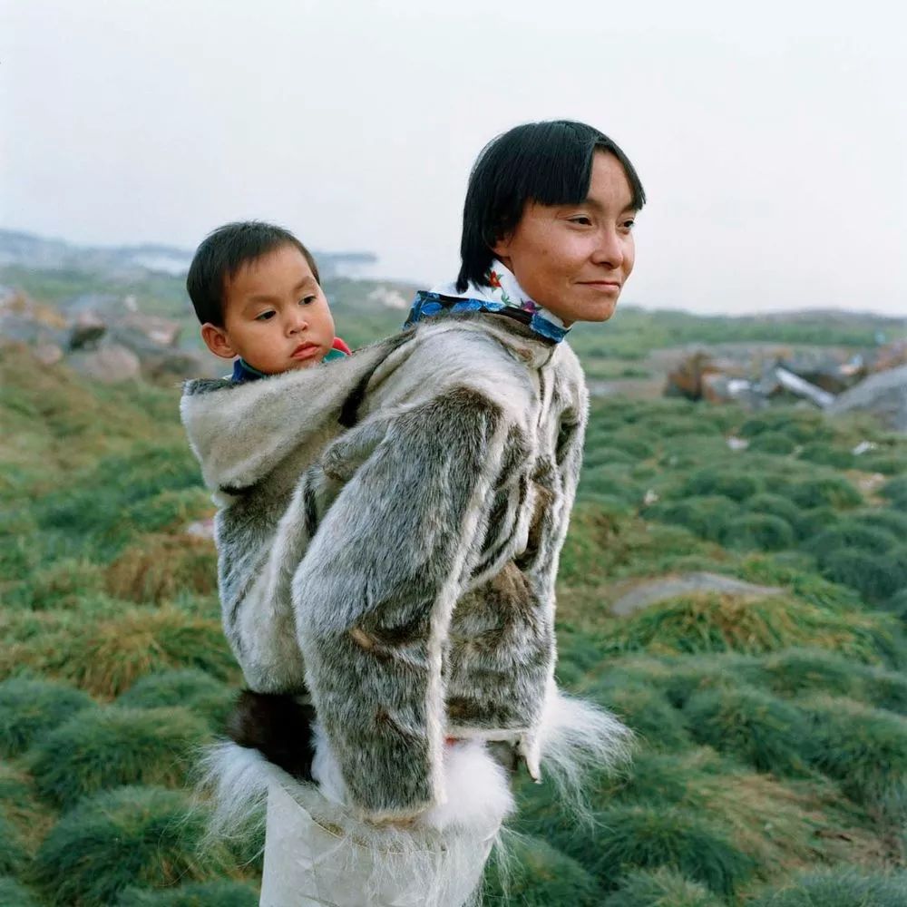 让特朗普朝思暮想的格陵兰岛到底长什么样?