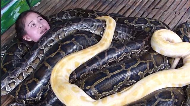 这样的按摩项目,你给我钱我也不敢去呀!_巨蟒